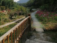 -宁波浙东大竹海景区