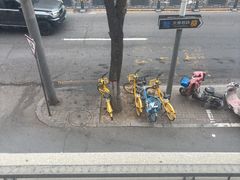 -碑林公园