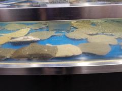 -盒马鲜生(莱蒙都会店)