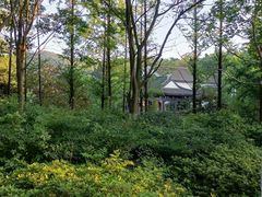 -南山风景名胜区