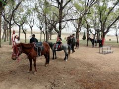 -赛汗塔拉风情园