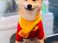 -萌兽医馆·眼科·异宠专科(三里屯店)