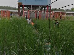 -河北村民俗体验园