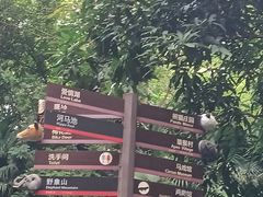 -深圳野生动物园