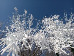 -优沃得自然教育农场·冰雪乐园·生日会·研学