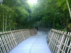 -福道