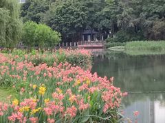-南宁南湖公园