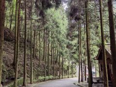 -娄山关景区