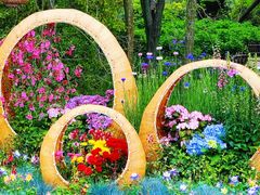 -上海共青森林公园