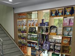 -天使宠物医院·犬猫分诊(彩虹店)