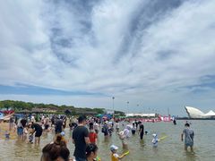 -碧海金沙