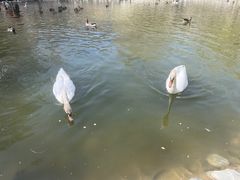 -新疆天山野生动物园