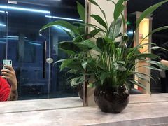 -新世界百货(顺义店)