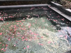 -厦门日月谷温泉渡假村