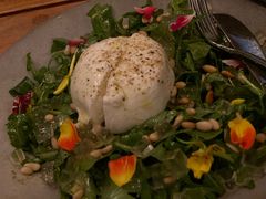 -TOMATITO(无限极荟店)