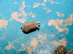 -海合安天津极地海洋公园