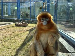 -大连森林动物园