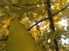 -西安市长乐公园