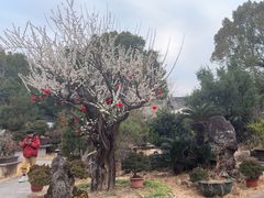 -万景茶庄·台州菜