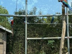 -合肥野生动物园