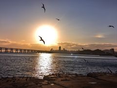 -星海广场