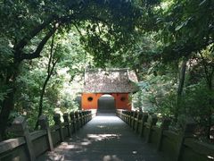 -桐君山春江扬帆码头