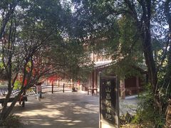 -潜山国家森林公园