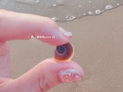 -南戴河旅游度假区