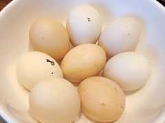 -燕郊烧鸽子(酷车小镇店)