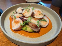 酿馅儿小鱿鱼-OTIUM • 柴屿麦(亮马桥店)