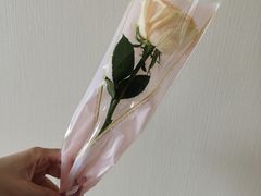 -酒井酱子·深夜食堂(东城汇店)