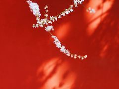 -西安市广仁寺