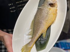-陈鹏鹏潮汕菜(欢乐海岸 海边景观店)