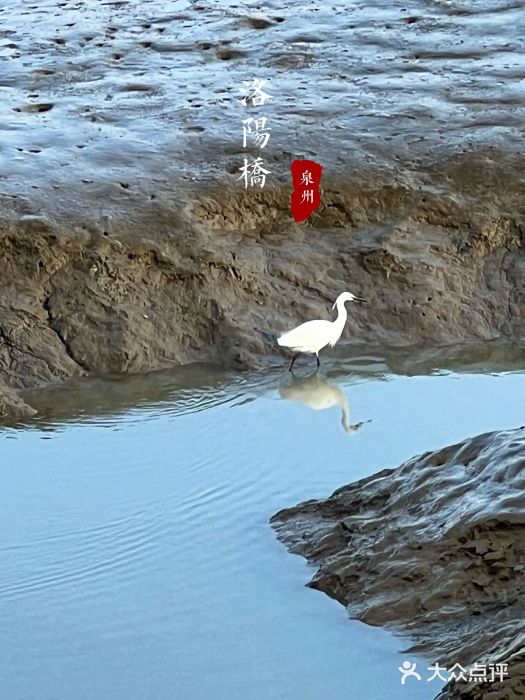 洛阳桥图片