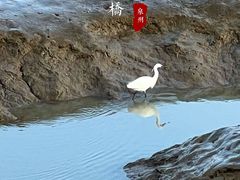 -洛阳桥