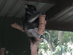 -费瑟代尔野生动物园