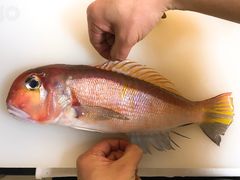 -达摩君日本料理(泰海花园小区店)