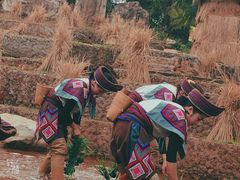 -云南民族村