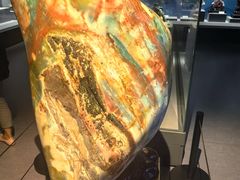 -贵州省地质博物馆