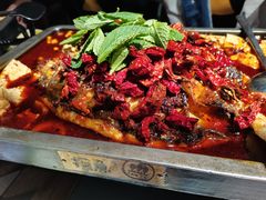 重庆豆花烤鱼-探鱼·鲜青椒爽麻烤鱼(领展购物广场店)