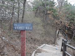 -望湖烤鱼
