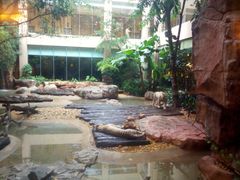 景观位-白虎自助餐厅·真老虎·景观自助餐厅(广州长隆酒店)