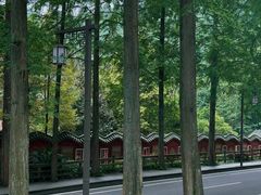-青城山