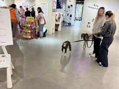 -瑞虹新天地月亮湾