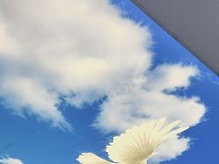 -黄牛肉馆·皖南土菜