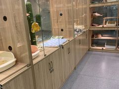 -BABIT巴比特宠物(MOMOPARK店)