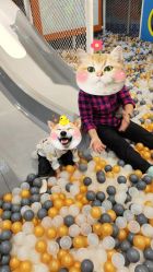 -爱婴室(上海浦建路店)