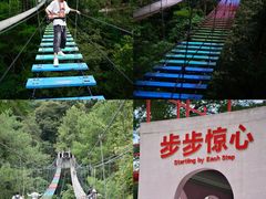 -龙岩森林水乡景区