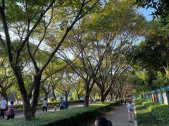 -番禺大夫山森林公园