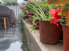 -一澜江宴·江景地标楚菜(江滩公园店)